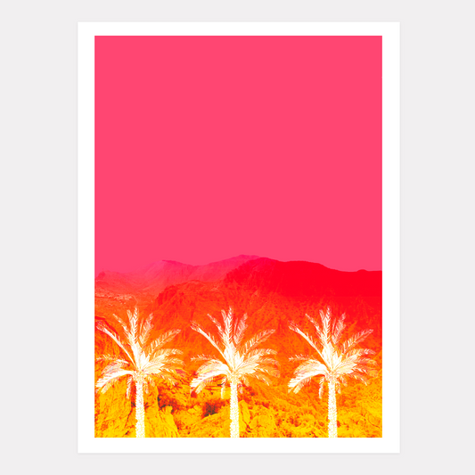 Pink Palm